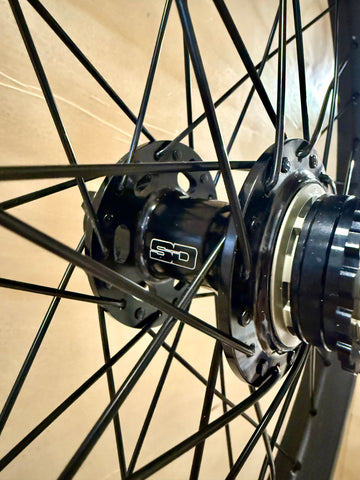 Pro 36h Dangergirl Carbon Wheelset